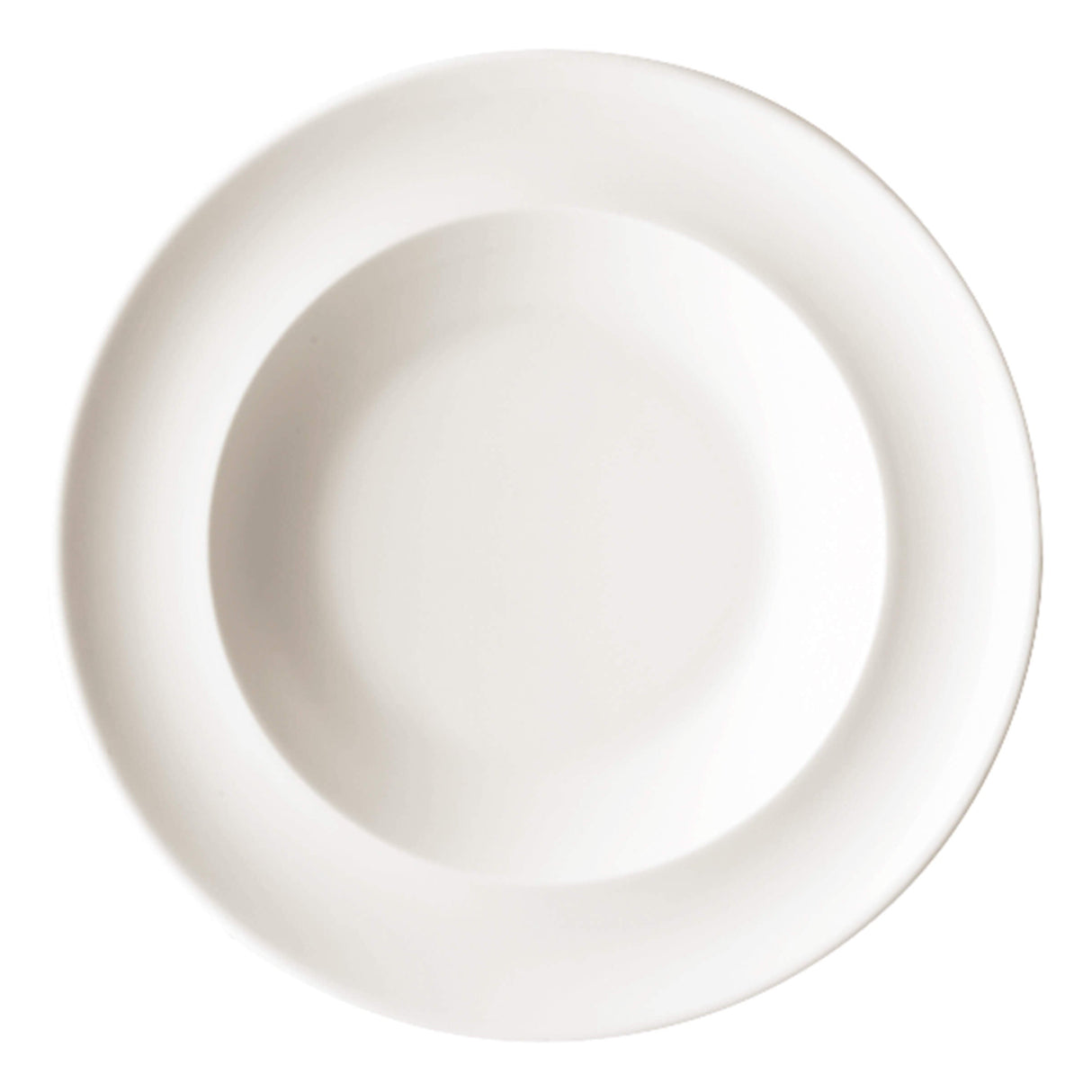Academy Soup/Pasta Plate 30cm/12"