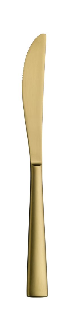 Accent PVD Gold Brushed Table Knife 23.2cm (9 1/7")