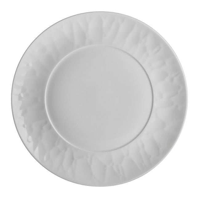 Atelier Plate 24.1cm (9 1/2")