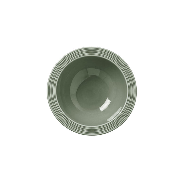 Concorde Fern Oatmeal Bowl 16.5cm 51.5cl (6 1/2" 18 1/9oz)