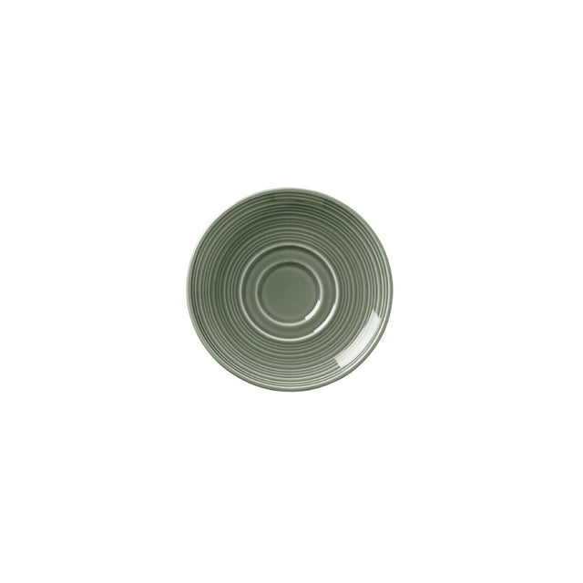 Concorde Fern S/S D/W Saucer 11.75cm (4 5/8")