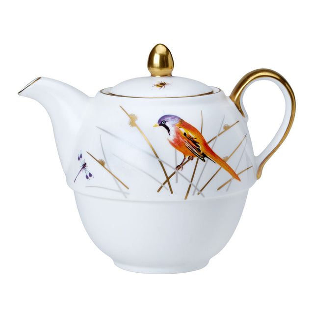 Reed Coupe Tea For One Teapot 12.4cm 46cl (5" 16oz)