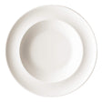 Academy Soup/Pasta Plate 30cm/12"