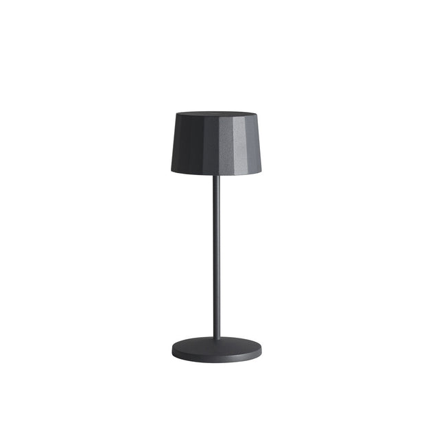Octa Dark Grey Mini LED Rechargeable Table Light 7.6 x 20.3cm (3 x 8")